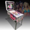 Playboy Pinball Machine For Sale