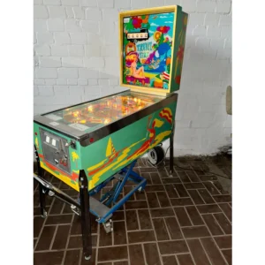 Travel Time Pinball Machine For Sale